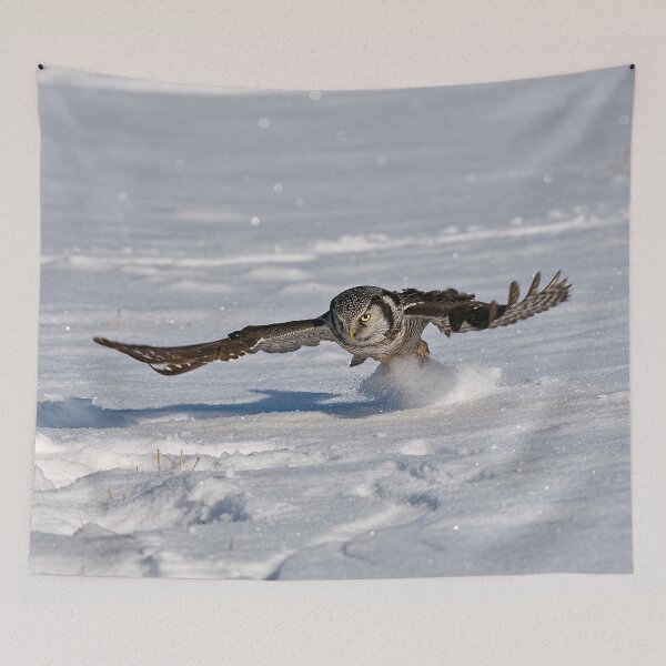 Item preview, Northern Hawk Owl designed and sold by Owl-Images.