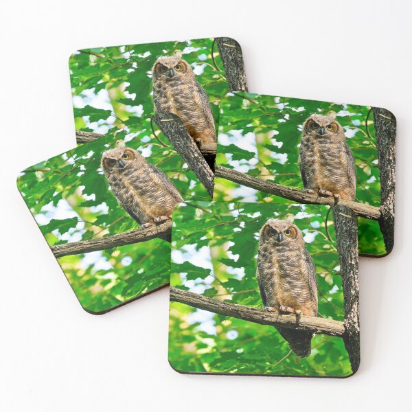 Item preview, Great Horned Owl designed and sold by Owl-Images.