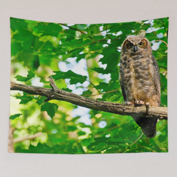 Item preview, Great Horned Owl designed and sold by Owl-Images.