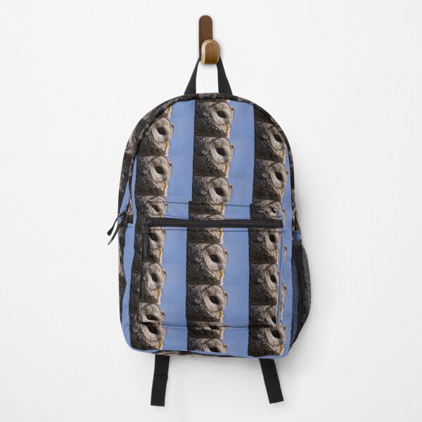 Item preview, Barred Owl designed and sold by Owl-Images.