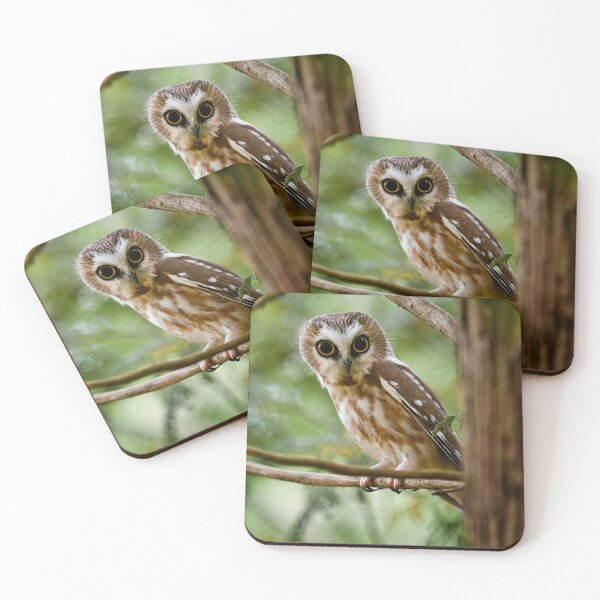 Item preview, Northern Saw-whet Owl designed and sold by Owl-Images.