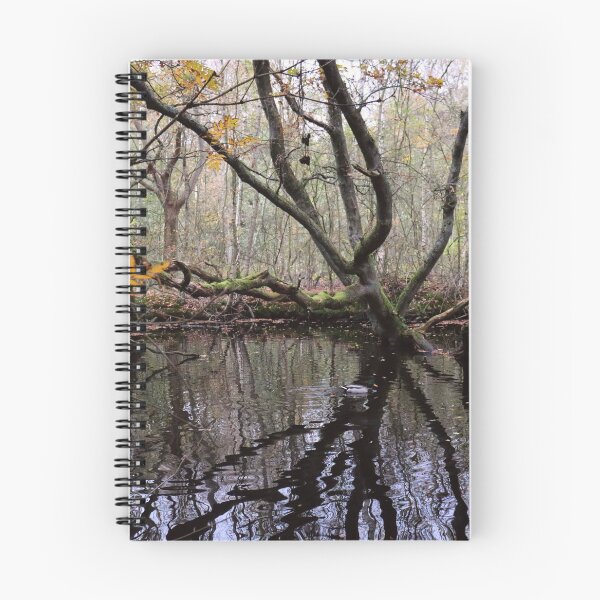 Aperçu de l'œuvre Arbre au bord de l'étang créée et vendue par MvMeer.