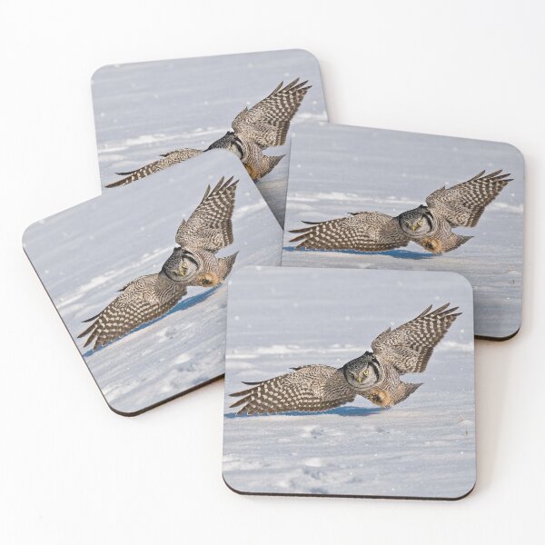 Item preview, Northern Hawk Owl designed and sold by Owl-Images.