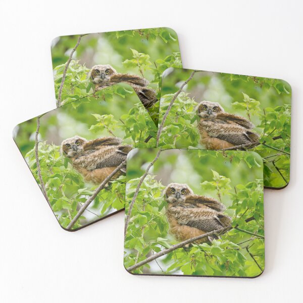 Item preview, Great Horned Owl designed and sold by Owl-Images.