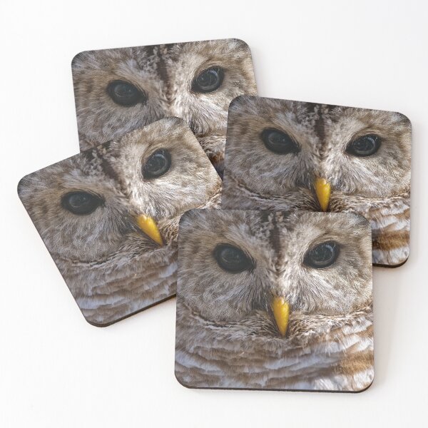 Item preview, Barred Owl designed and sold by Owl-Images.