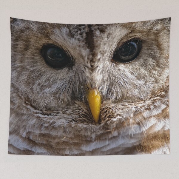 Item preview, Barred Owl designed and sold by Owl-Images.
