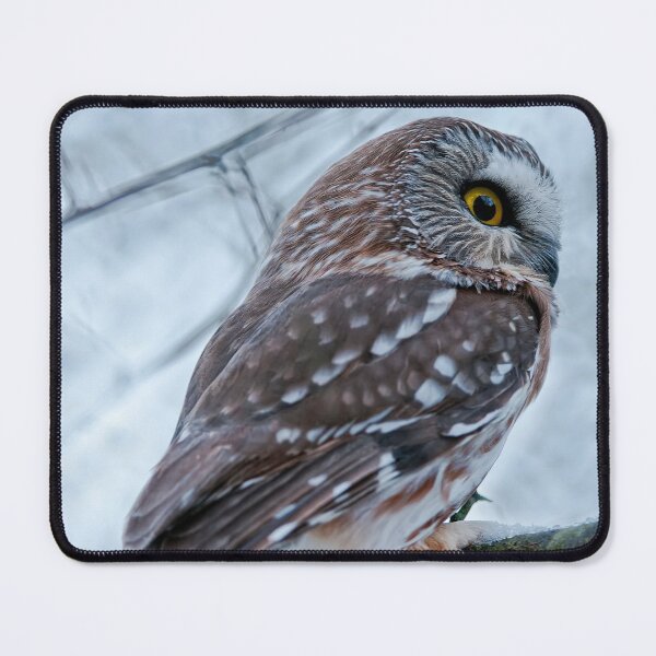 Item preview, Northern Saw-whet Owl designed and sold by Owl-Images.