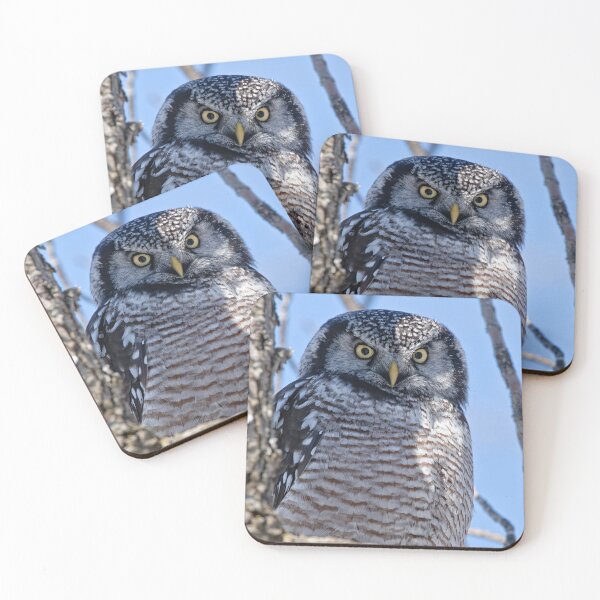 Item preview, Northern Hawk Owl designed and sold by Owl-Images.
