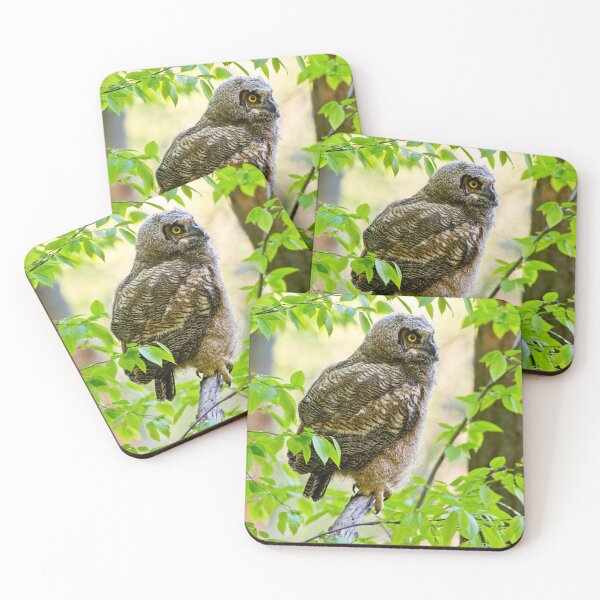 Item preview, Great Horned Owl designed and sold by Owl-Images.