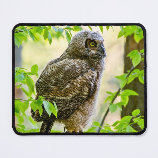 Item preview, Great Horned Owl designed and sold by Owl-Images.