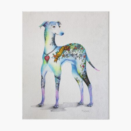 Bless international Tattoo Italian Greyhound by Patricia Lintner  Wrapped  Canvas Painting  Wayfair