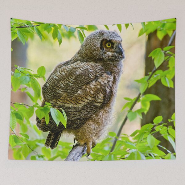 Item preview, Great Horned Owl designed and sold by Owl-Images.