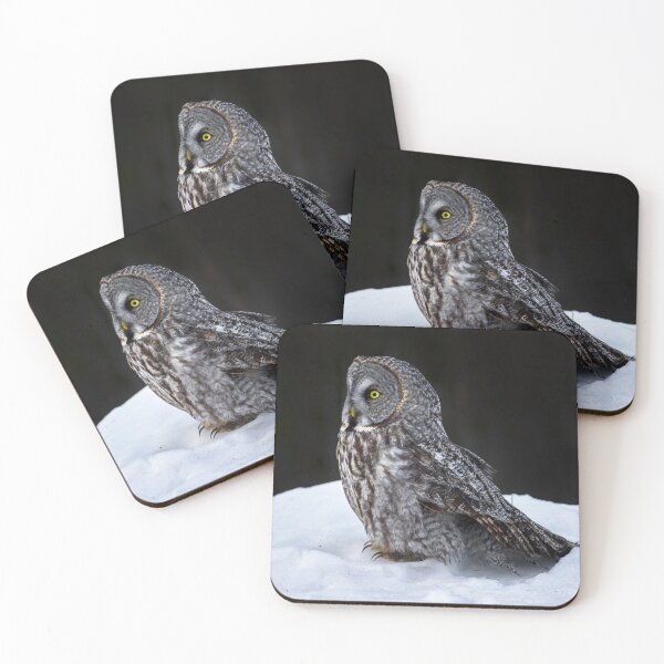 Item preview, Great Grey Owl designed and sold by Owl-Images.