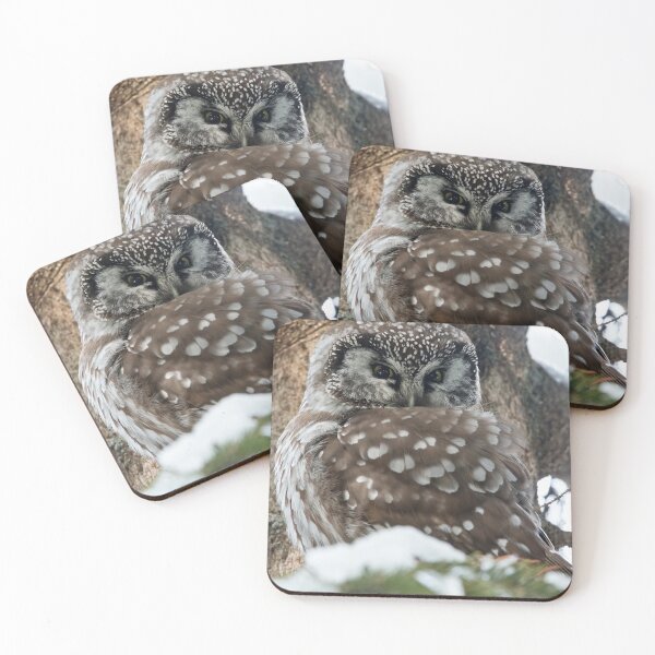 Item preview, Boreal Owl designed and sold by Owl-Images.