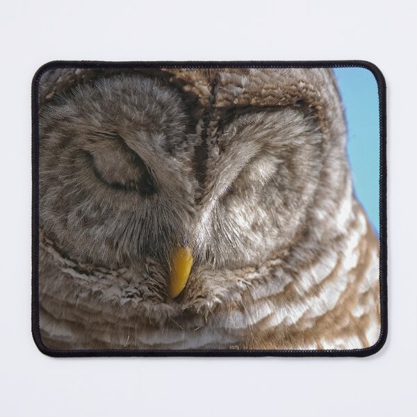 Item preview, Barred Owl designed and sold by Owl-Images.