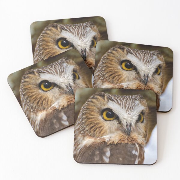 Item preview, Northern Saw-whet Owl designed and sold by Owl-Images.