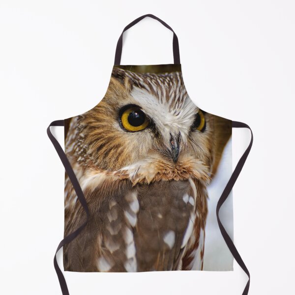 Item preview, Northern Saw-whet Owl designed and sold by Owl-Images.