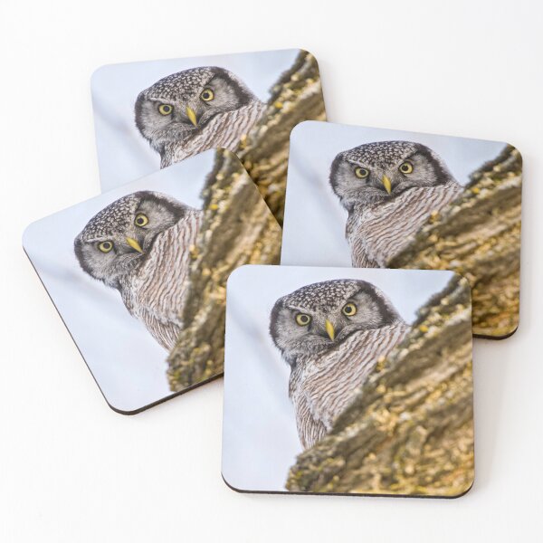 Item preview, Northern Hawk Owl designed and sold by Owl-Images.