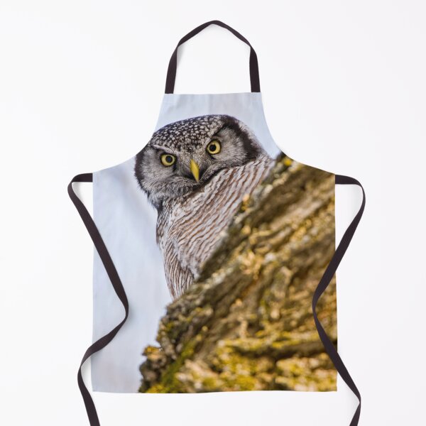 Item preview, Northern Hawk Owl designed and sold by Owl-Images.
