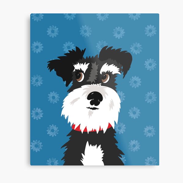 Cartel Letrero de Chapa Raza Schnauzer