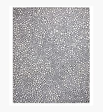 Yayoi Kusama Photographic Print