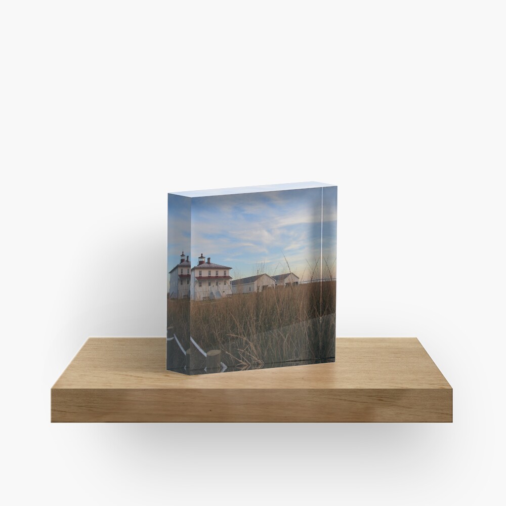 Item preview, Acrylic Block designed and sold by ToniaDelozier.