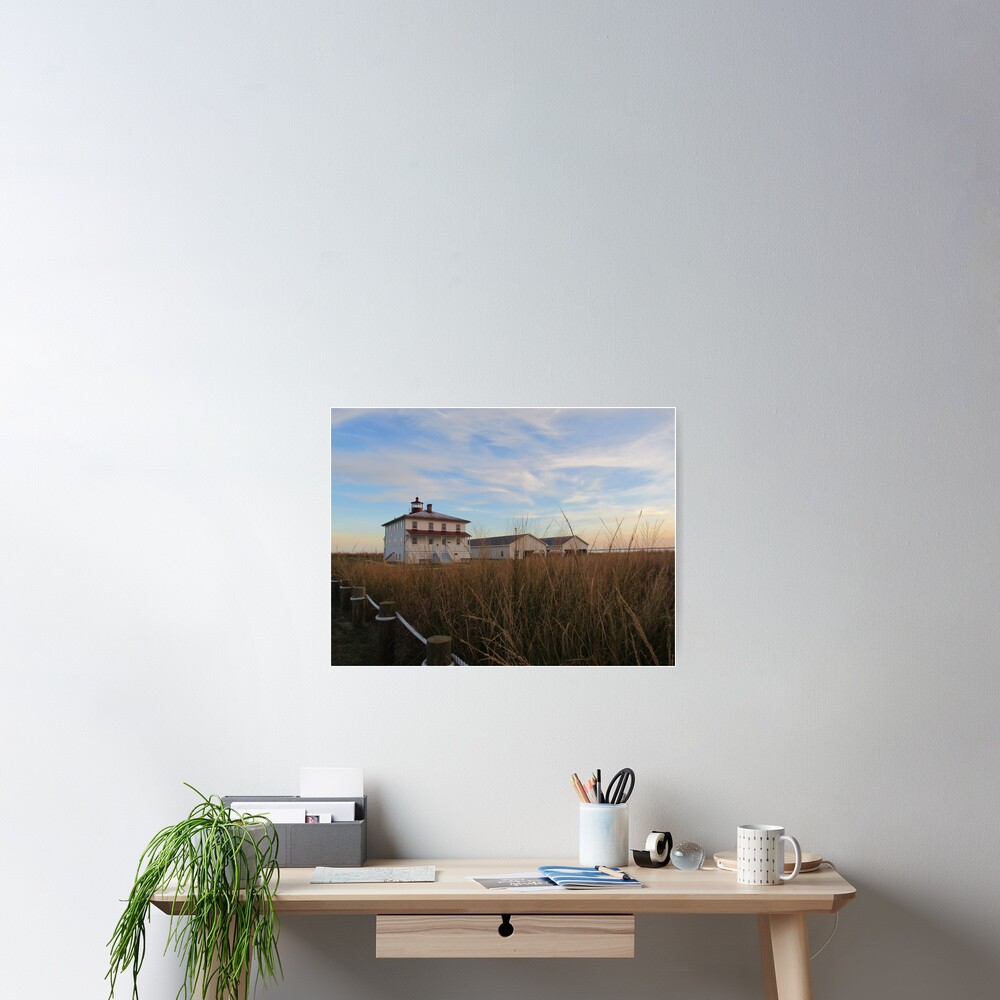 Item preview, Poster designed and sold by ToniaDelozier.