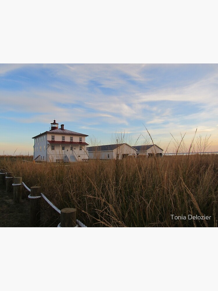 Thumbnail 3 of 3, Photographic Print, Point Lookout Lighthouse with the buoy and coal sheds designed and sold by ToniaDelozier.