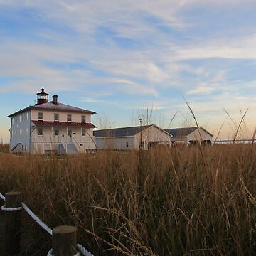 Artwork thumbnail, Point Lookout Lighthouse with the buoy and coal sheds by Tonia Delozier's Photography