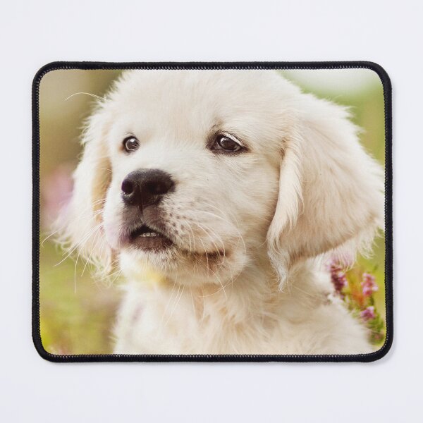 Item preview, Cute dog - animal designed and sold by zero-g.