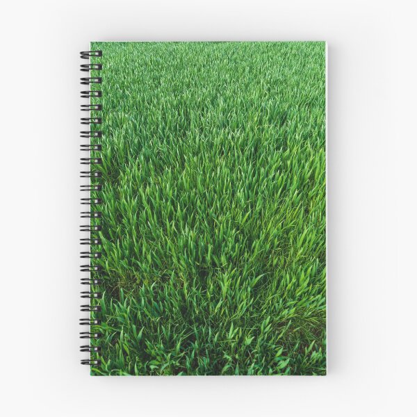 Item preview, grass designed and sold by Lexpixelart.