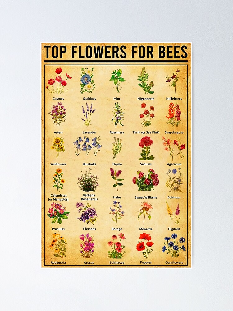 "Top Flowers For Bees" Poster by OscaroGalerie Redbubble