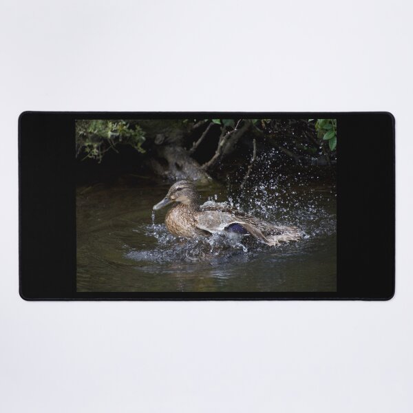 Item preview, Duck Dripping After Bathing In A River designed and sold by thelemmingface.