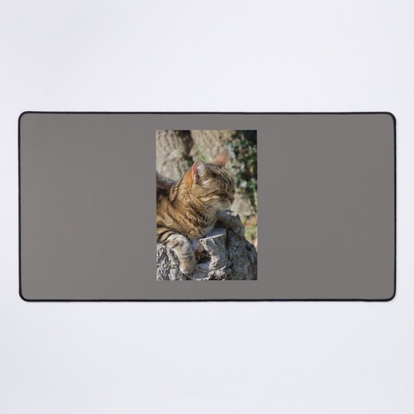 Item preview, Cat Sleeping Outdoors designed and sold by thelemmingface.