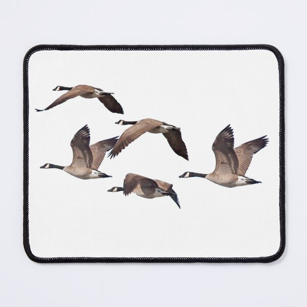Item preview, Canadiana geese 6 designed and sold by Saltypro.