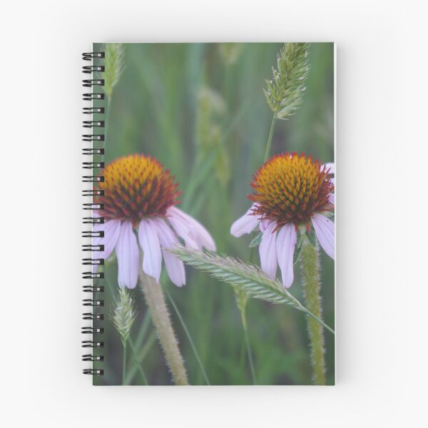 Item preview, Echinacea designed and sold by MsSexyBetsy.