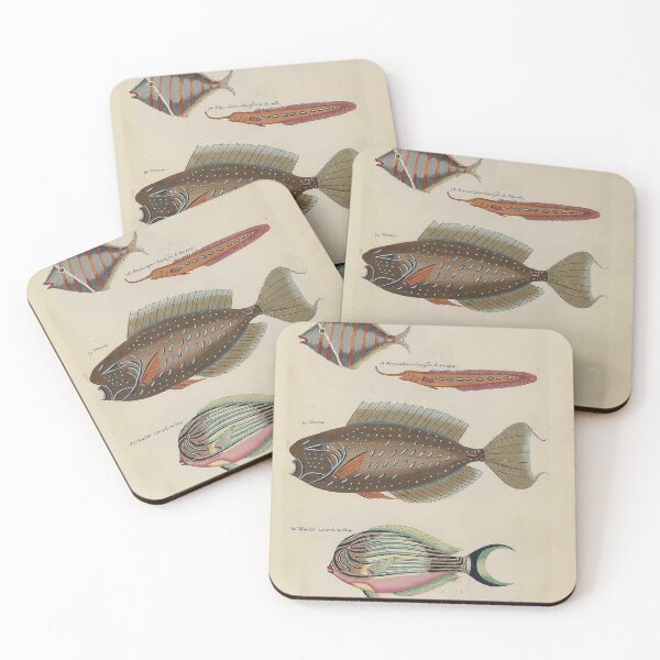 Item preview, First Colour Publication on Fish (1754) designed and sold by Hanna Hanuman.
