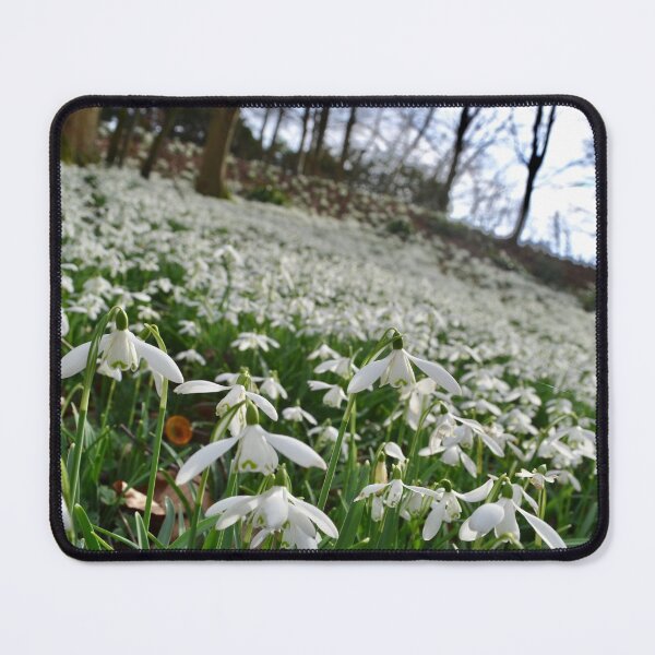 Item preview, Snowdrops designed and sold by thelemmingface.