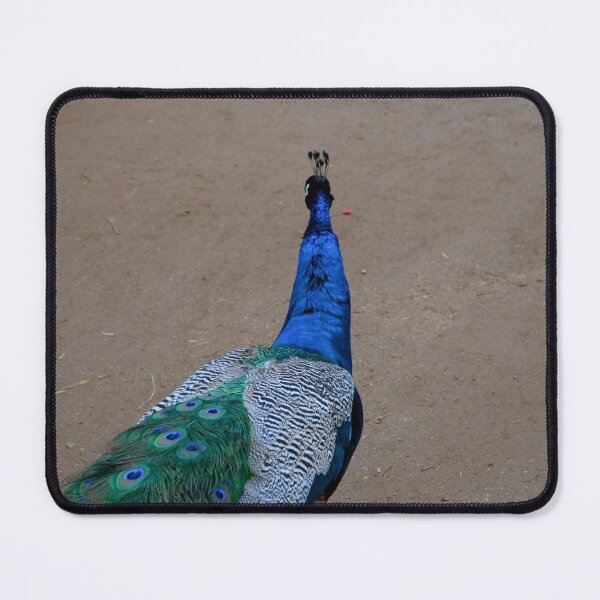 Item preview, Peacock designed and sold by thelemmingface.