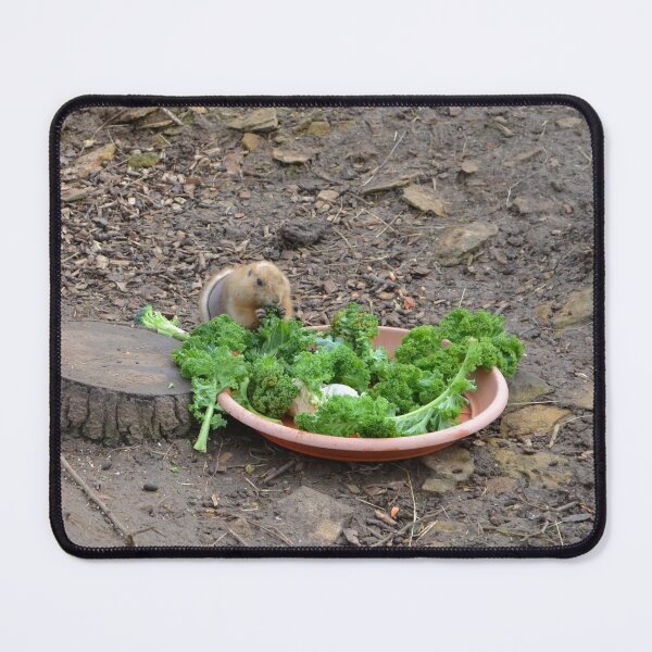 Item preview, Prairie Dog Eating Salad designed and sold by thelemmingface.