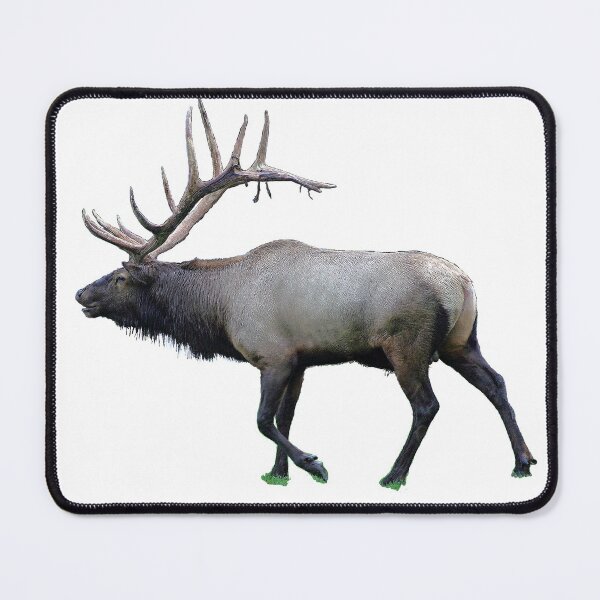 Item preview, Willow Wapiti elk designed and sold by Saltypro.