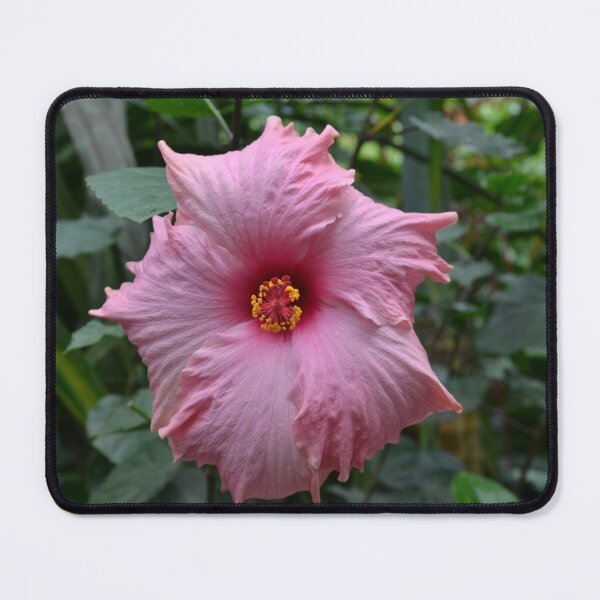 Artikelvorschau, Große rosa Blume (Hibiskus) entworfen und verkauft von thelemmingface.