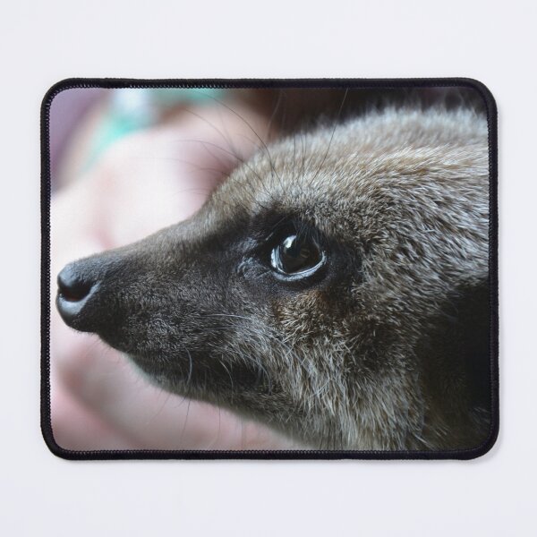 Item preview, Cute Meerkat Face designed and sold by thelemmingface.