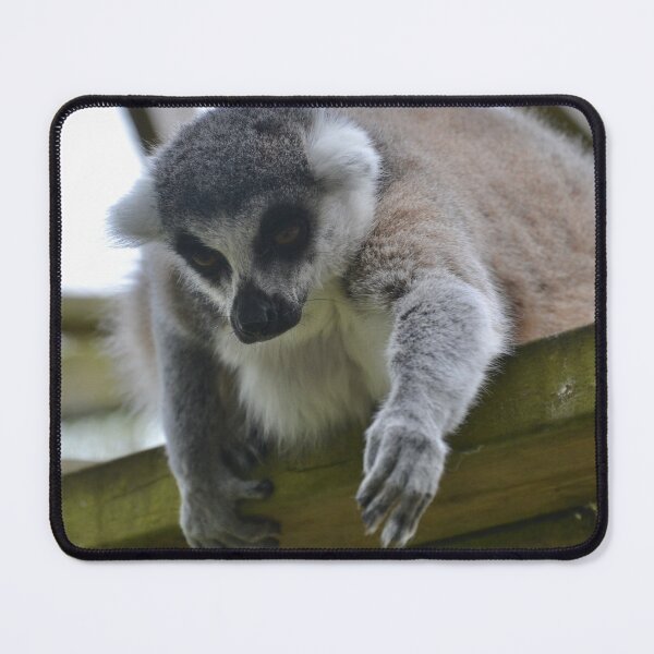 Item preview, Ring Tailed Lemur designed and sold by thelemmingface.