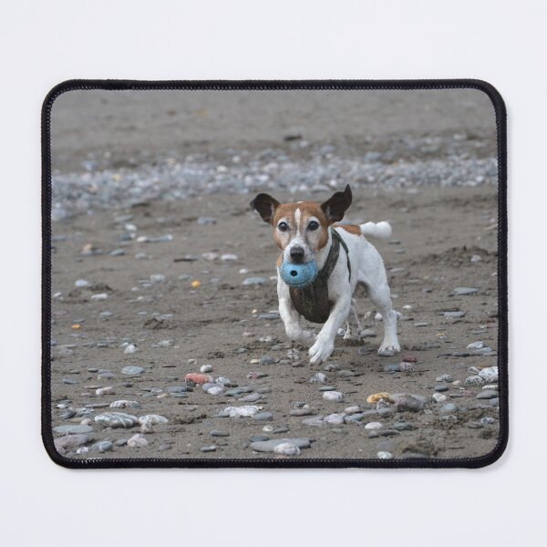 Item preview, Jack Russell Dog Running With A Ball designed and sold by thelemmingface.