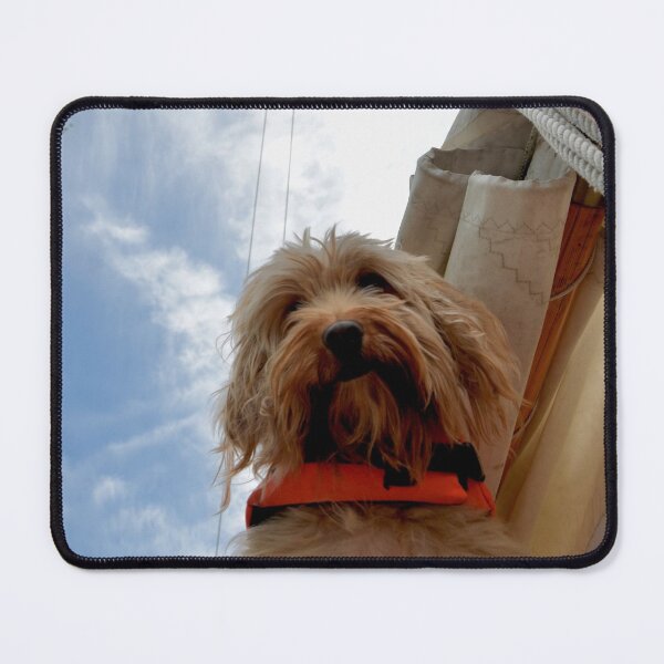 Item preview, A Dog In A Lifejacket - Cockapoo On A Boat designed and sold by thelemmingface.