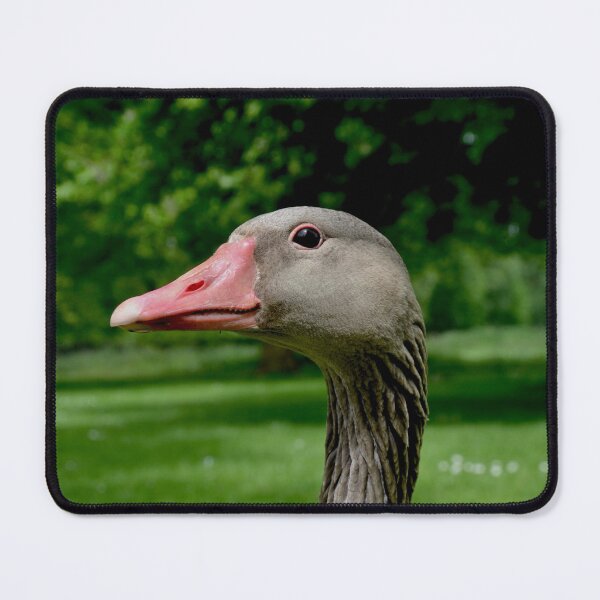 Item preview, An Inquisitive Goose designed and sold by thelemmingface.