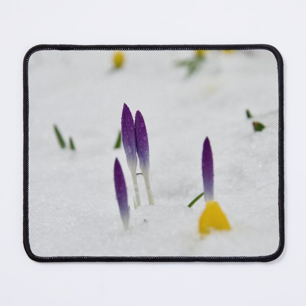 Item preview, Spring Flower Buds In Snow designed and sold by thelemmingface.