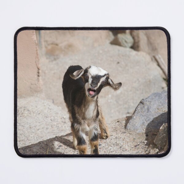 Item preview, Bleating Baby Goat designed and sold by thelemmingface.