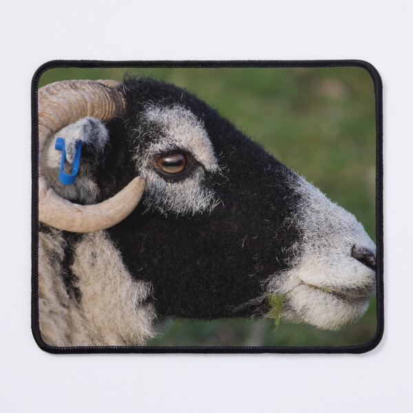 Item preview, Sheep's Head designed and sold by thelemmingface.